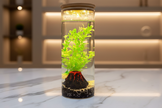 Zari DIY Aquarium Kit – Volcano