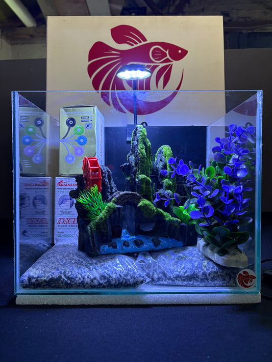 Lwandle – Mini Aquarium Kit (27cm)
