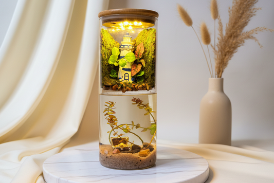 🌿 Zari – Paludarium - LED Light