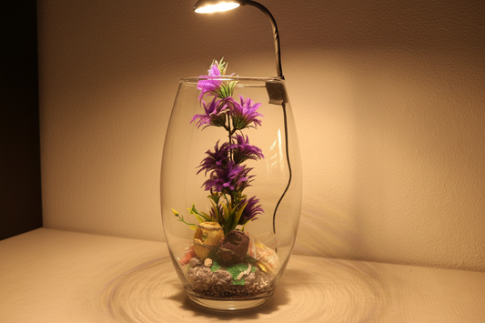 Thabile DIY Aquarium Kit - Double Barrel (purple plant)