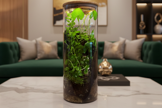 Zari - Paludarium - Led Light