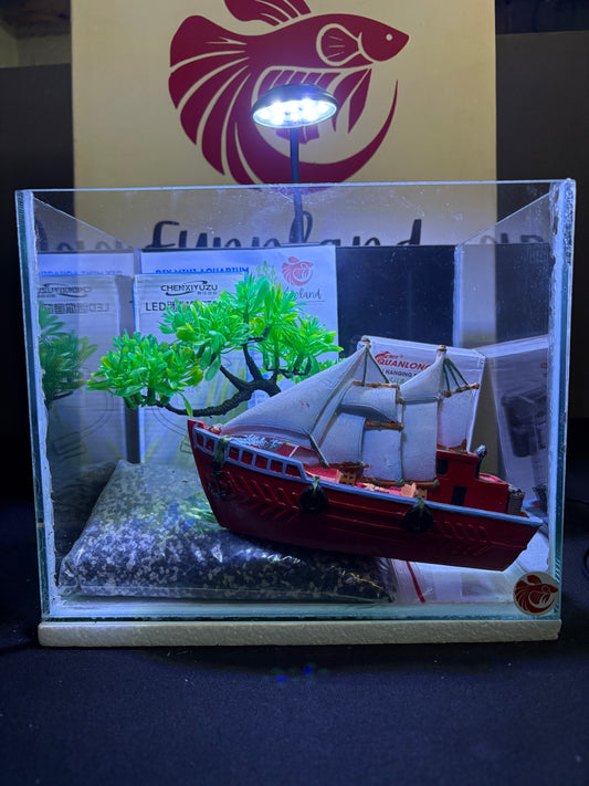 Ulwandle - Mini Aquarium Kit (25cm)