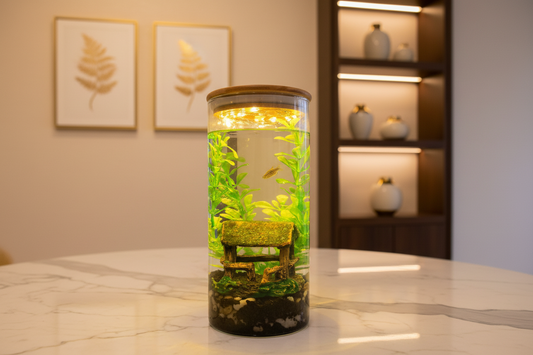 Zari DIY Aquarium Kit – Hut