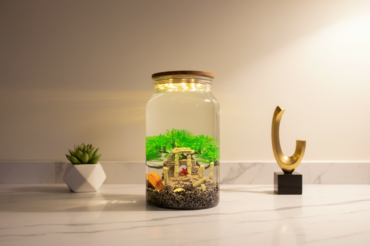 Senior DIY Aquarium Kit – Roman Ruins