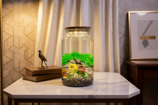 Senior DIY Aquarium Kit – Double Barrel